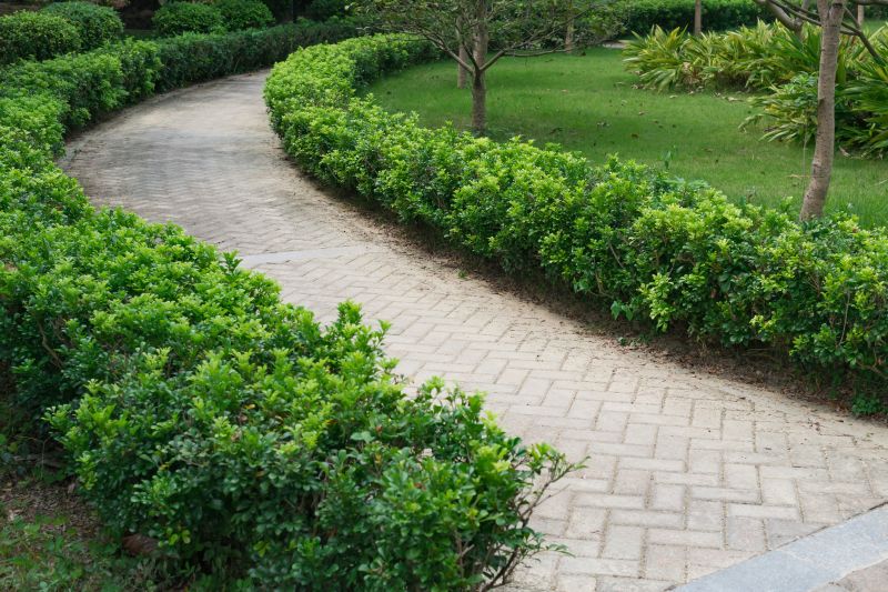 Residential Paving Service